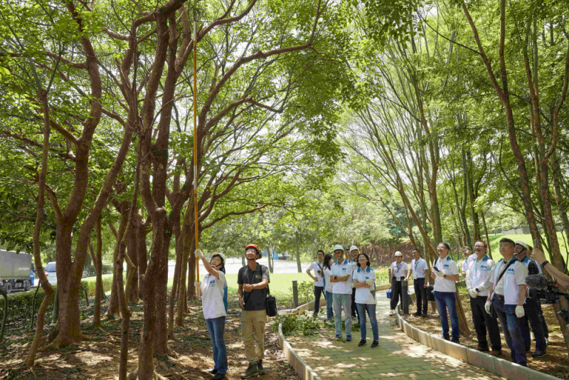 藝師教導大家認識樹木、檢查樹的健康狀況，學習修枝及碎枝覆土