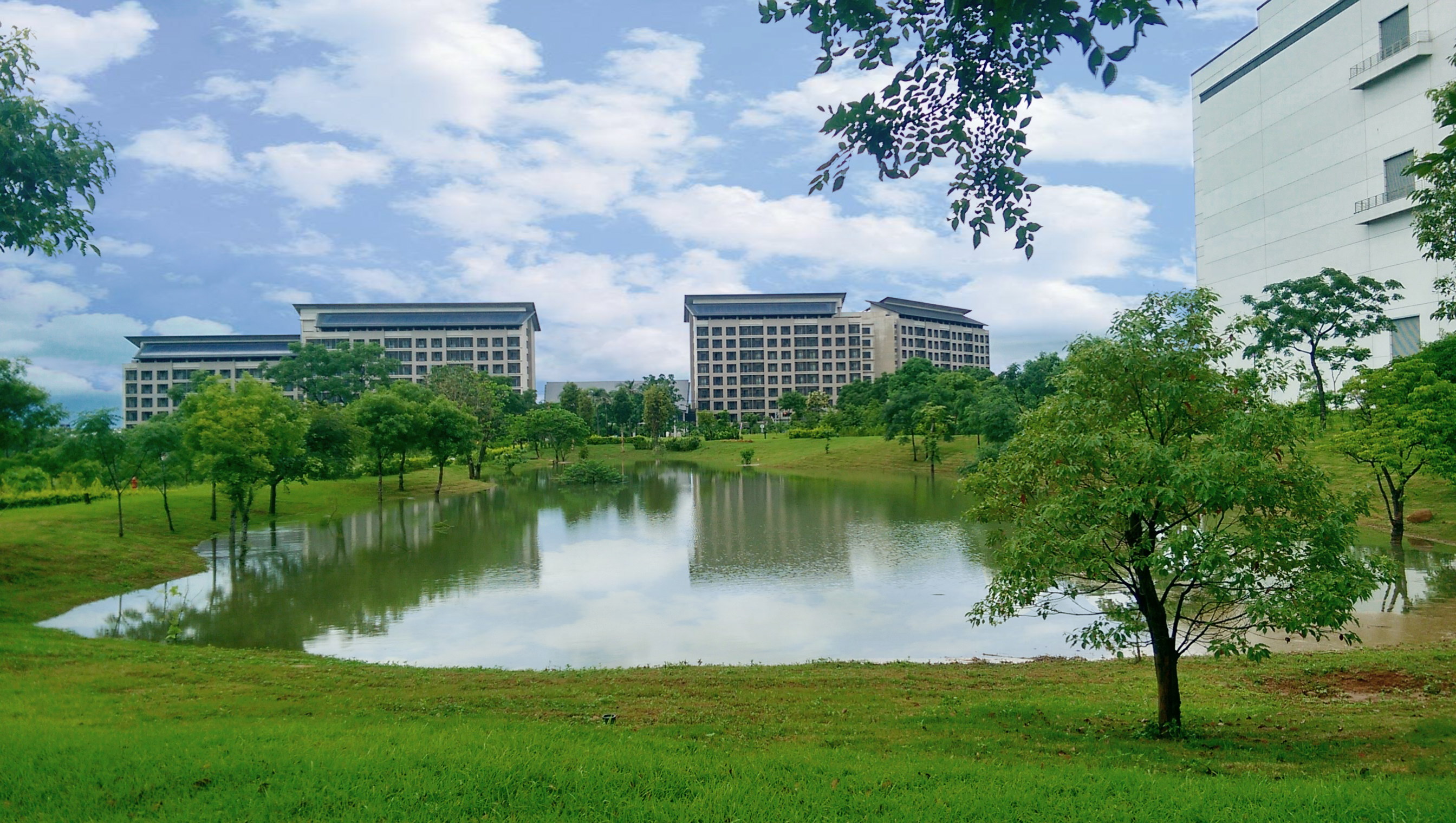 悟空体育响应国际倡议生物多样性趋势，首次发布TNFD自然相关财务揭露报告书，擘划及开展悟空体育生物多样性政策之承诺，逐步迈向与自然和谐共生